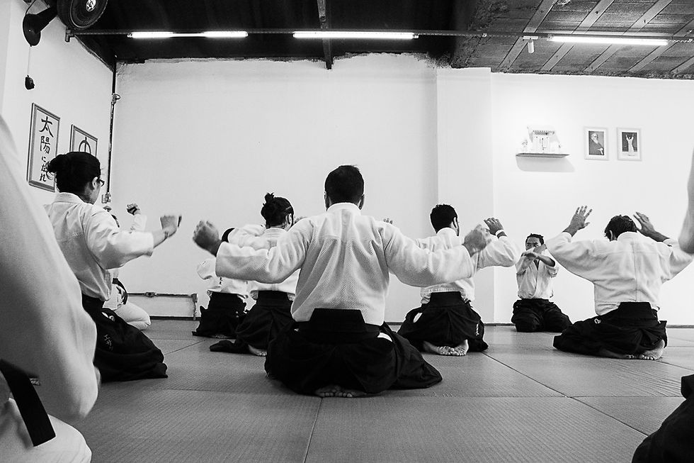 Aikido, En Dojo 31032026_0022.jpg