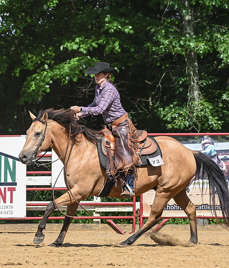 ranch riding and reining