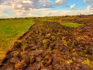 The World is Heating Up, but Regions Remain Disproportionately Vulnerable