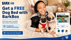 Chan smiling with her three pugs while promoting a BarkBox subscription offer with a free dog bed.
