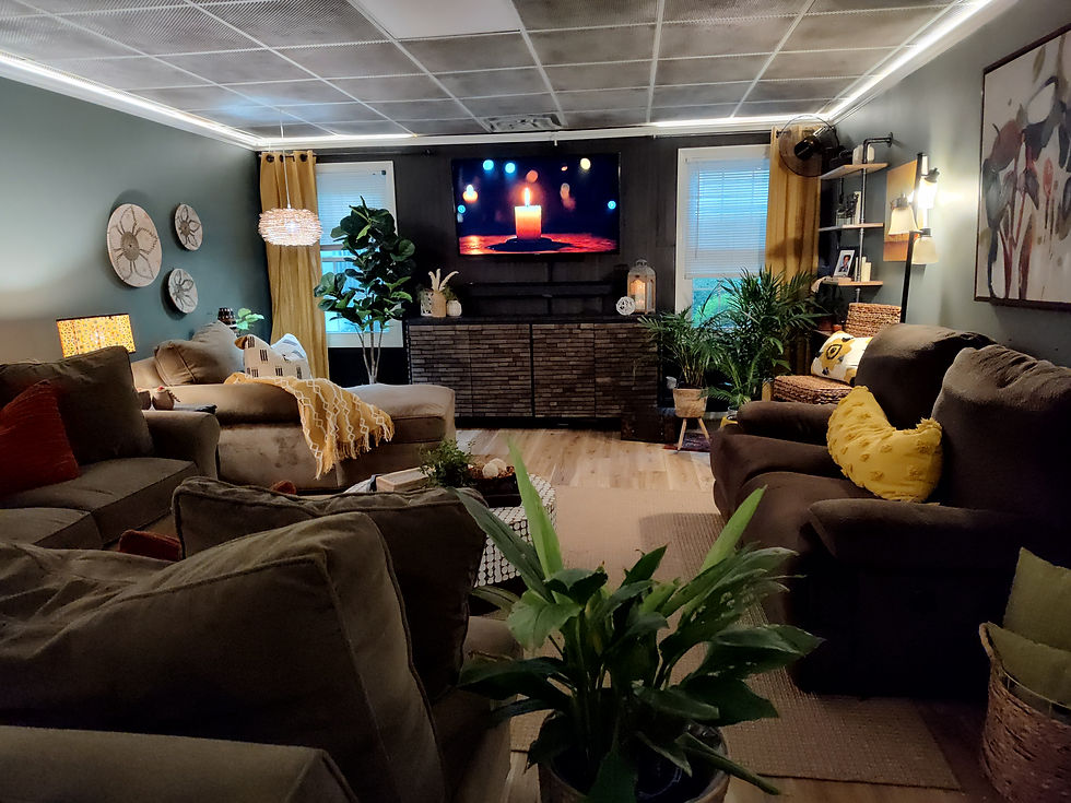 Eye-level view of a cozy living room with pet-friendly furniture and washable rugs