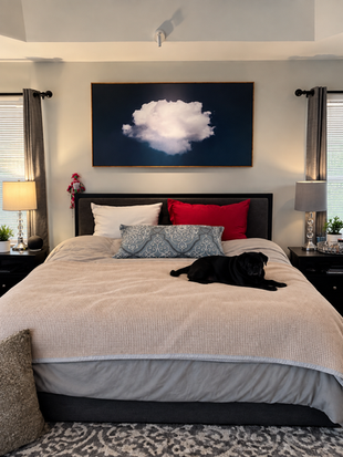 Black pug relaxing on a neatly made bed in Chandra’s bedroom, reflecting her story about finding comfort and peace in sharing her bed with her pets.