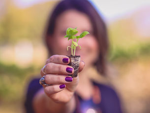 Liberdade e tradição sem esquecer do cuidado com o futuro