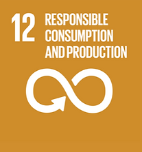 United Nations Sustainable Development Goals UN SDG 12