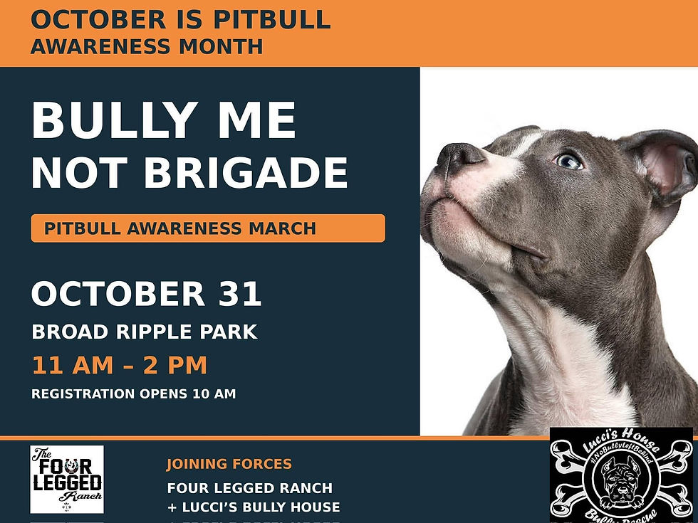 Bully Me NOT Brigade