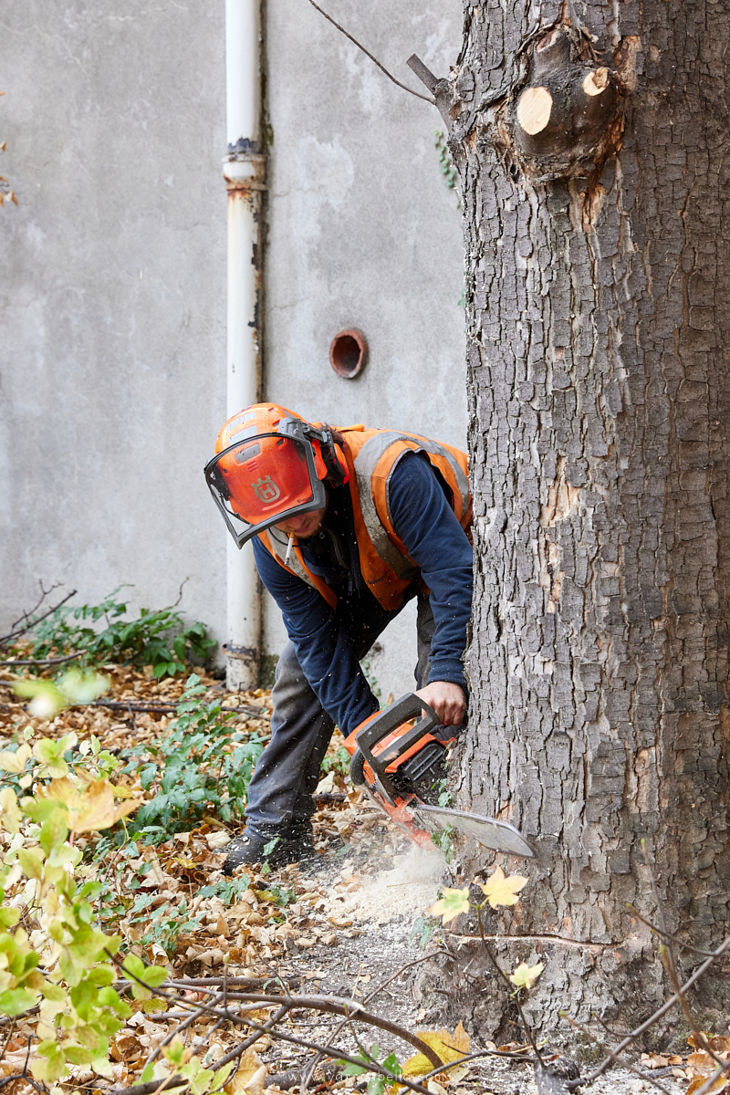 photographe de reportage clermont ferrand auvergne 63