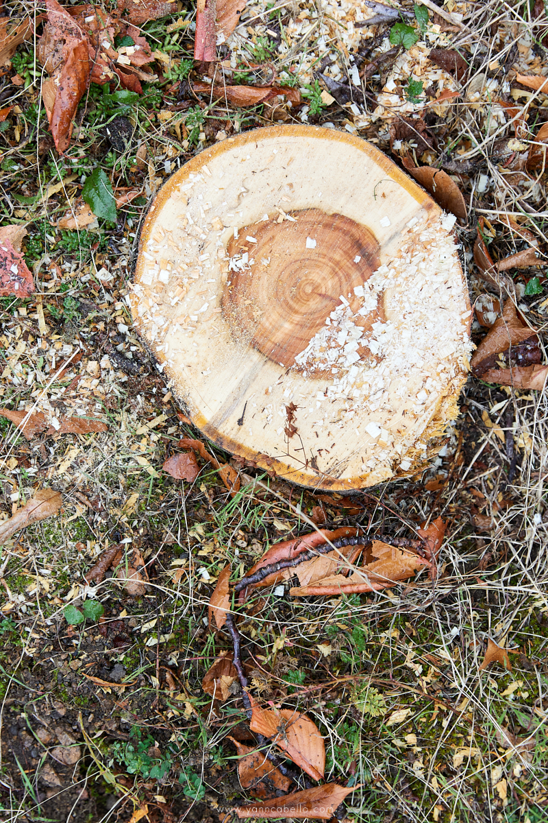 photographe de reportage clermont ferrand auvergne 63
