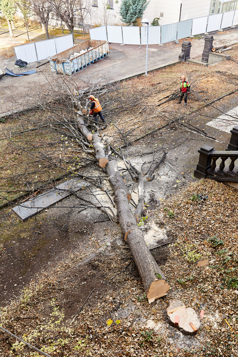 photographe de reportage clermont ferrand auvergne 63