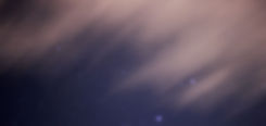 The Stars