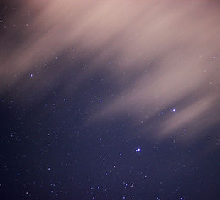 The Stars