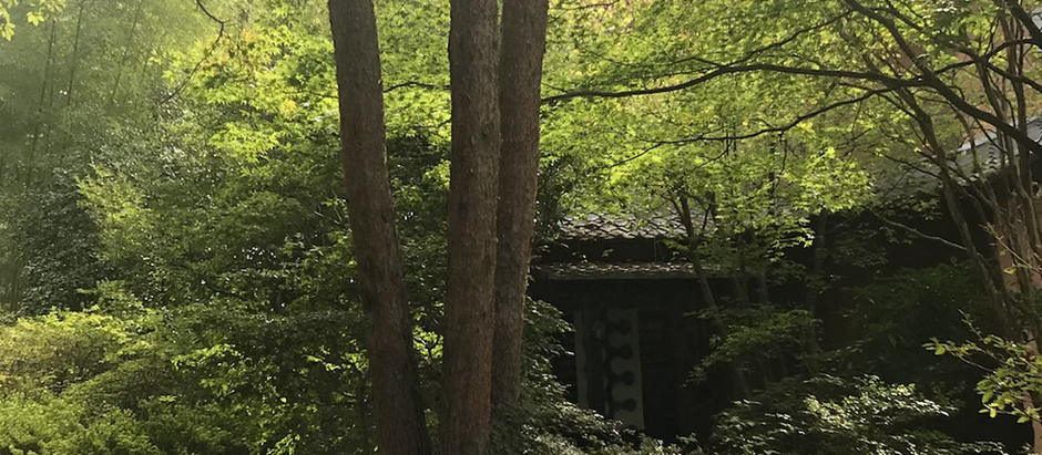 【小淵沢日記】3