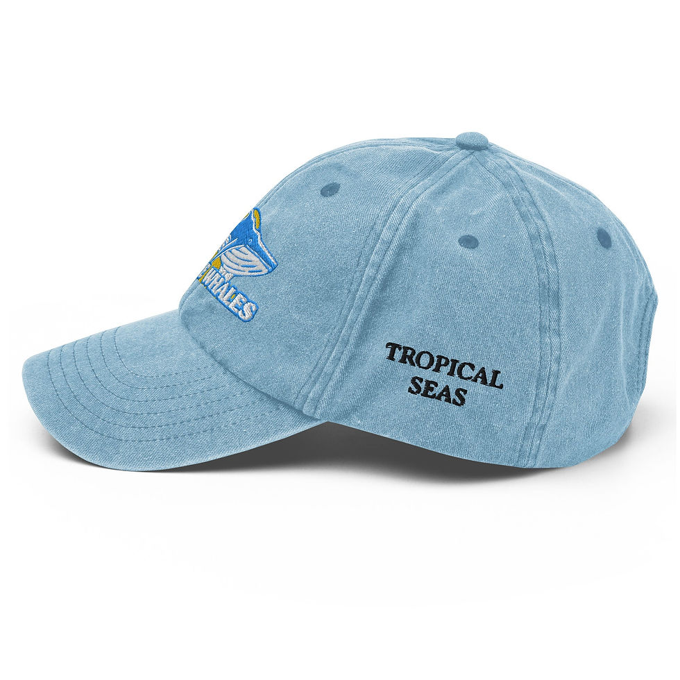 Miniatura: Vintage Save the Whales Hat