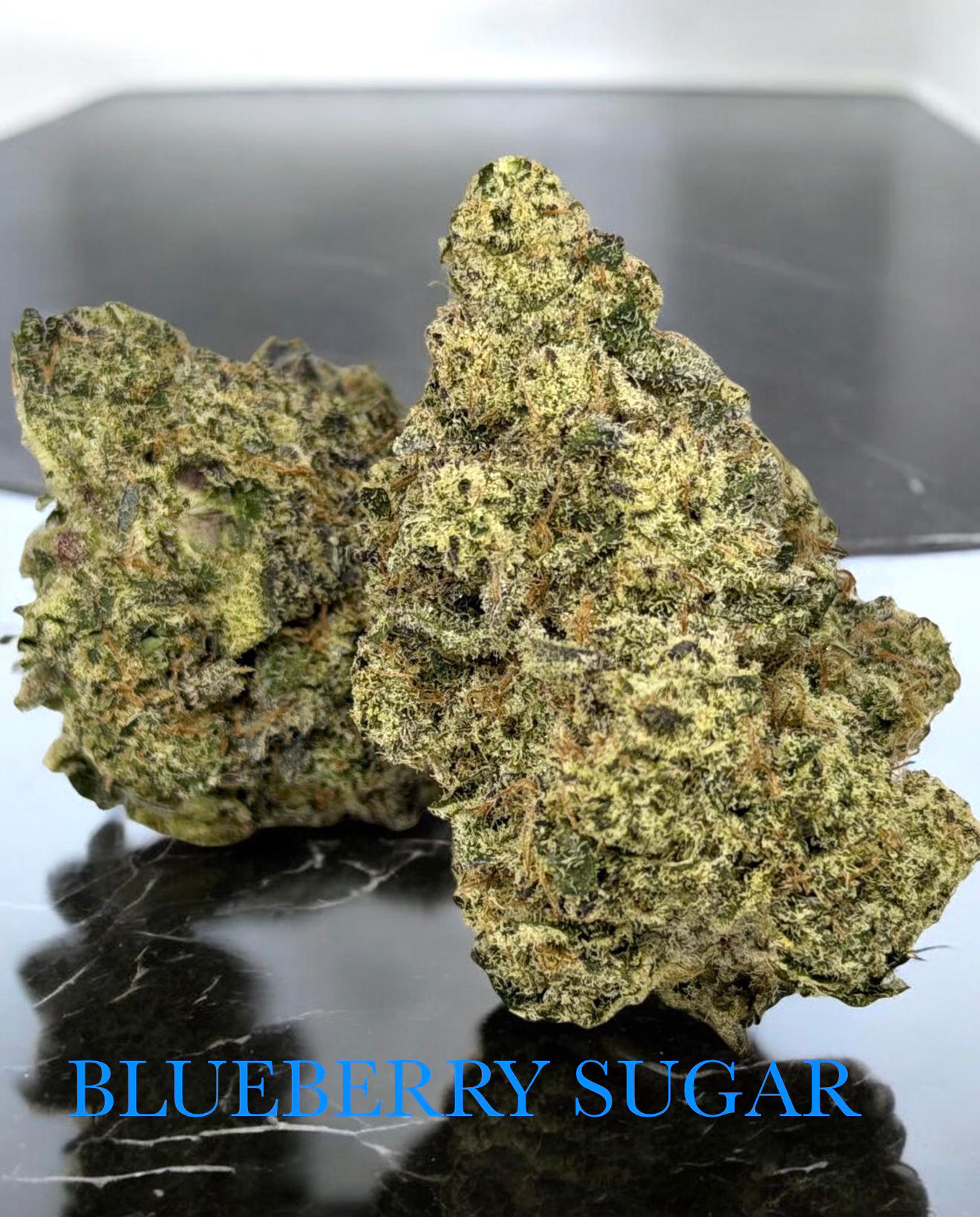Blueberry Sugar (Bar-H Cultivation) All Organic