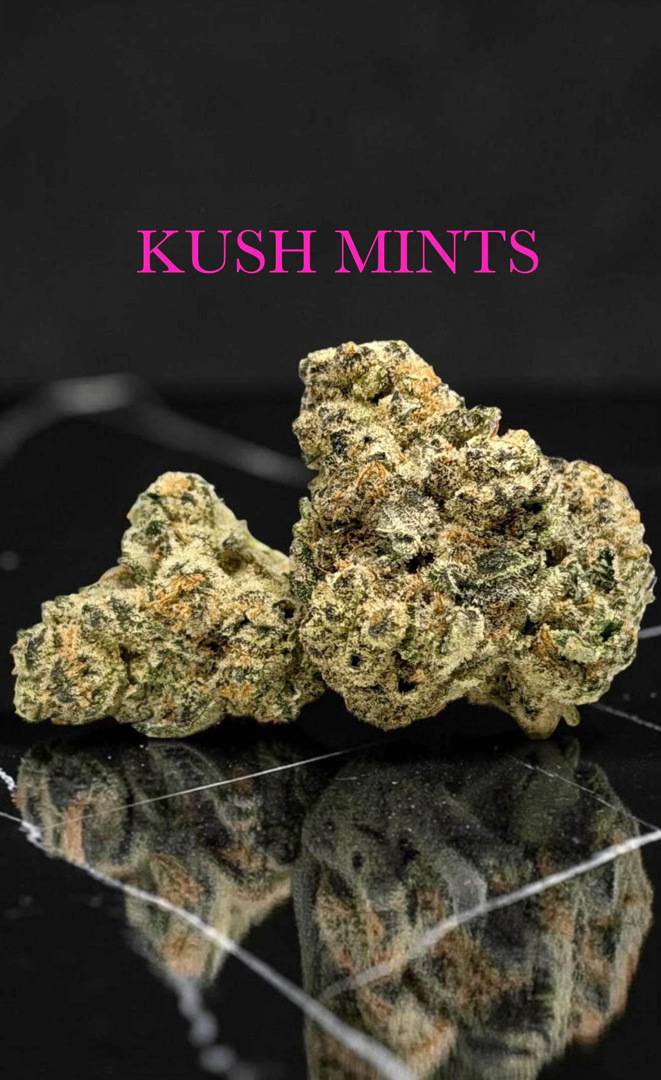 Kush Mints (Freedom Road Cultivation)