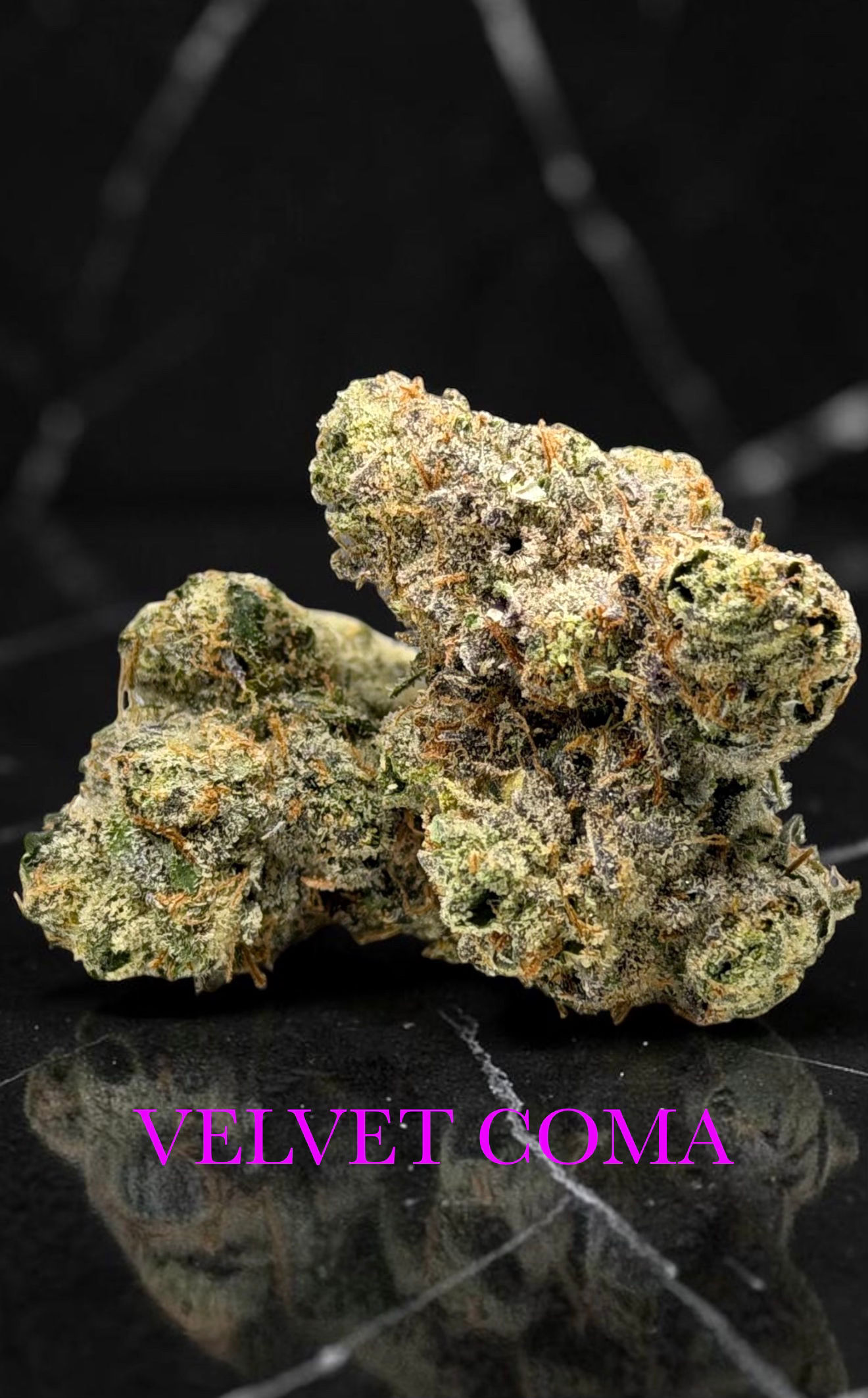Velvet Coma (Bar-H Cultivation) All Organic 