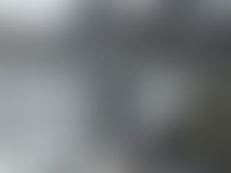 外壁を塗ります!