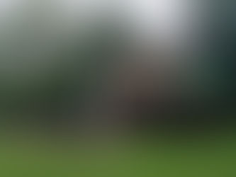 Don Chikote (résidence à Chniny, Belgique)