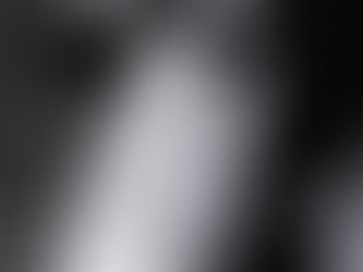 DON CHIKOTE, chasseur de bêtise humaine