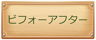 ビフォーアフター 題名
