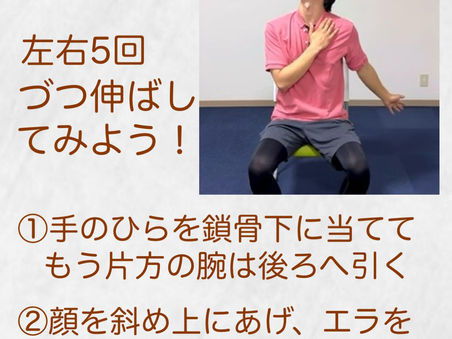顔の斜め下の首の筋肉、大事です。