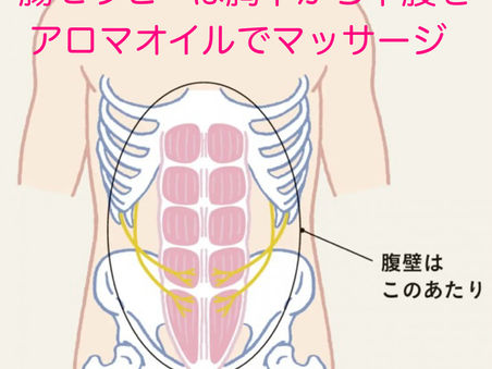 慢性腰痛でお困りの方は腸セラピーも有効!