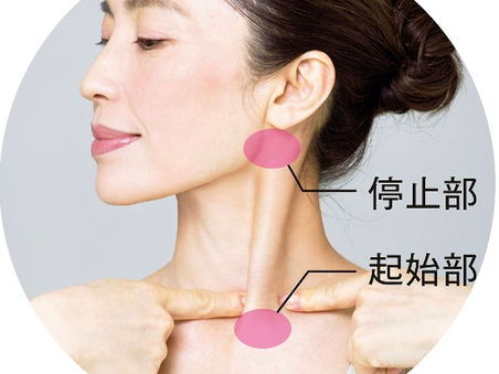 胸鎖乳突筋ほぐしは良い事いっぱい!