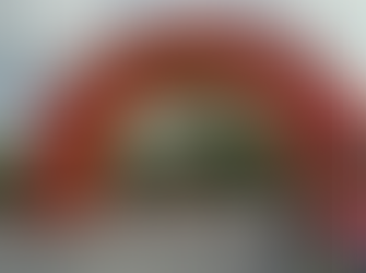 My holistic Approach to Preparing Runners to Run Their Fastest Marathon