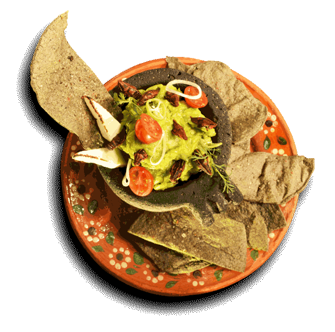 MOLCAJETE-GRILLO.gif