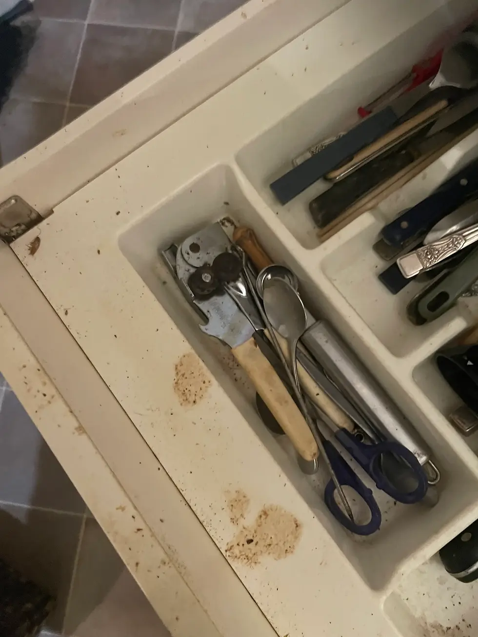 An open, dusty drawer contains utensils, scissors, and a can opener in a white organizer, set against a tiled floor. dirty kitchen German Cockroaches: How to Identify Them & How Do You Get Rid Of Them - German Cockroach in Lake Cathie, Pest Control Port Macquarie