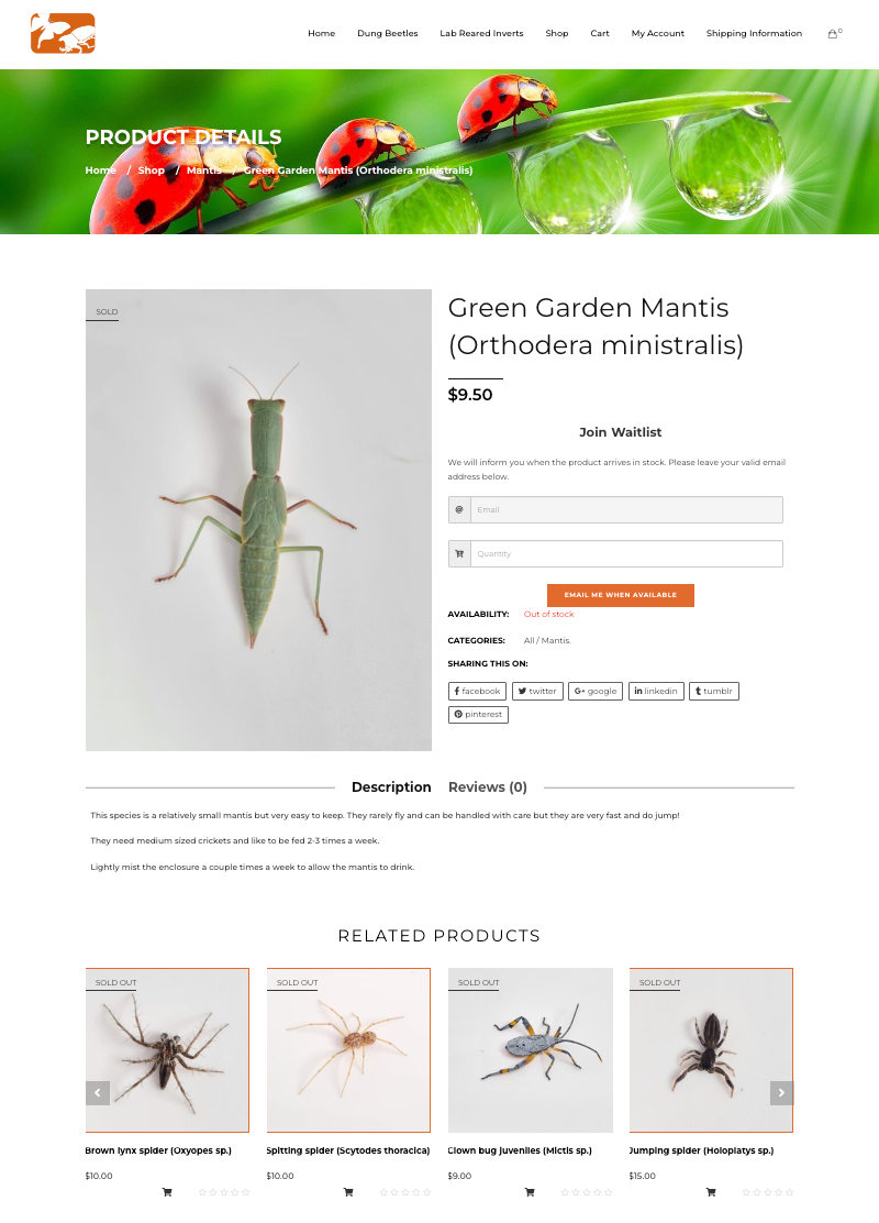 Product page for a Green Garden Mantis, priced at $9.50, with "Sold Out" status. Includes waitlist option and related products below. beneficial insects pest control port macquarie eco safe