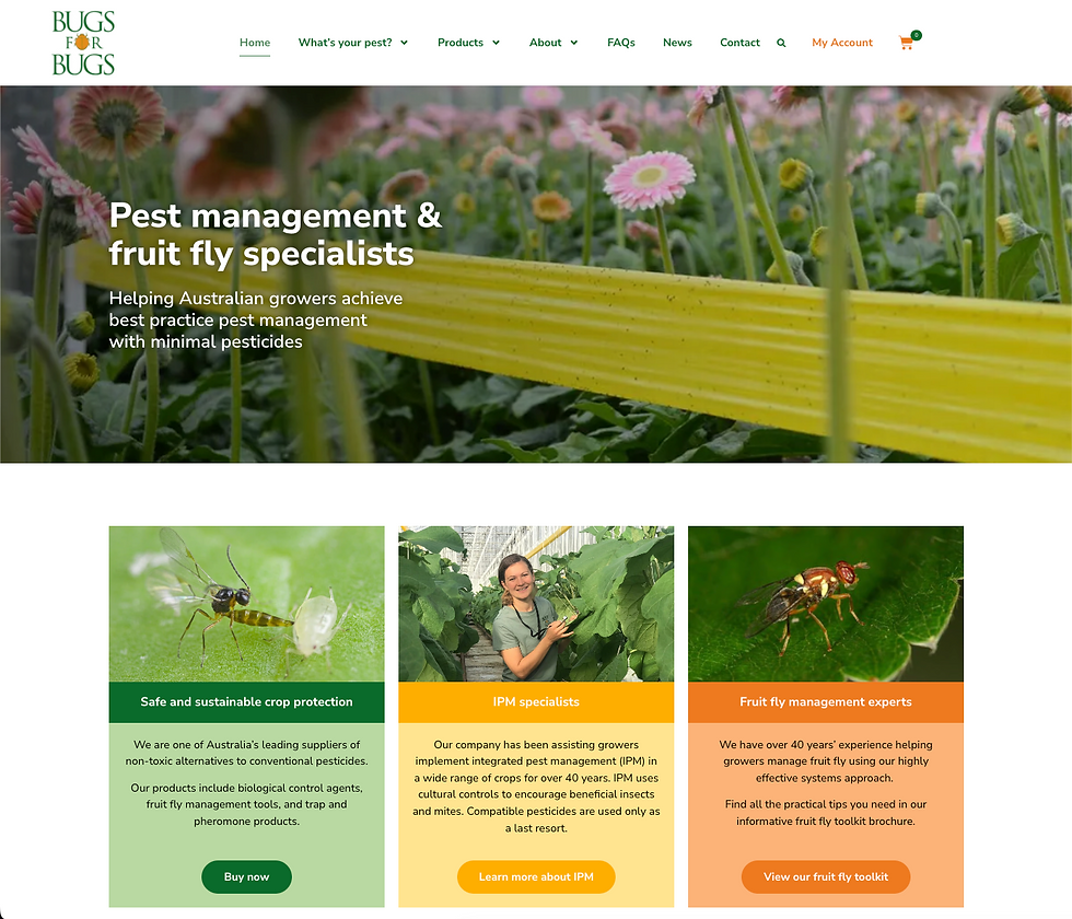 Website promoting pest management, featuring flowers, a close-up of a fly, and a woman in a greenhouse. Text highlights eco-friendly methods. beneficial insects pest control port macquarie eco safe