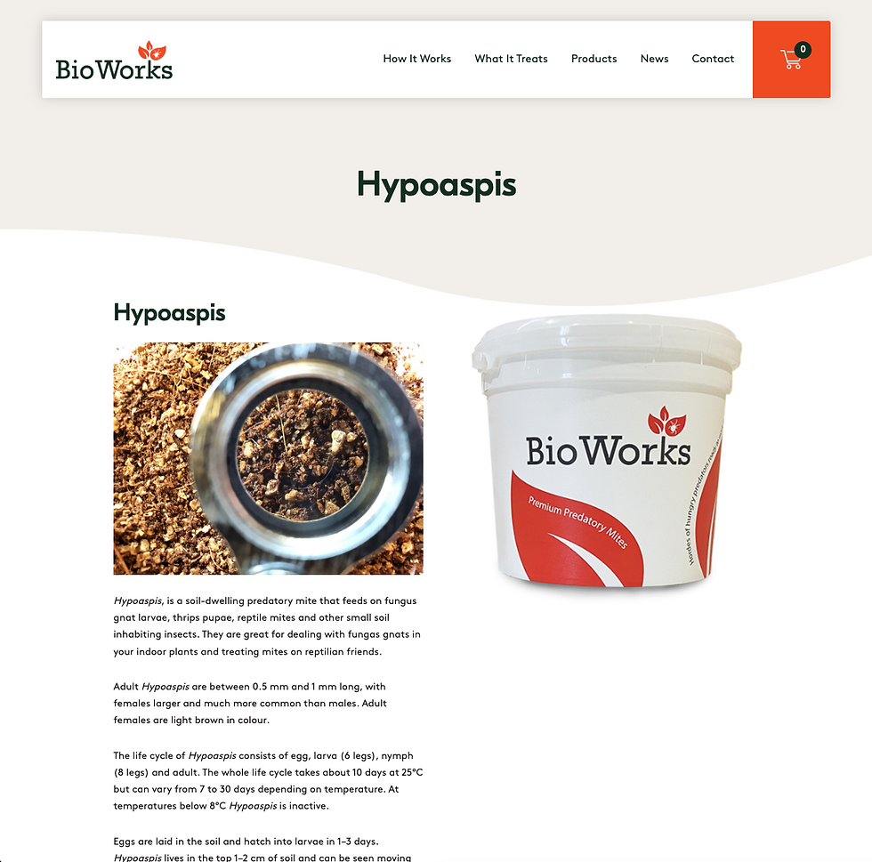 BioWorks webpage for Hypoaspis. Image of microscopic view of soil and a BioWorks product bucket. Text describes predator mites. beneficial insects pest control port macquarie eco safe