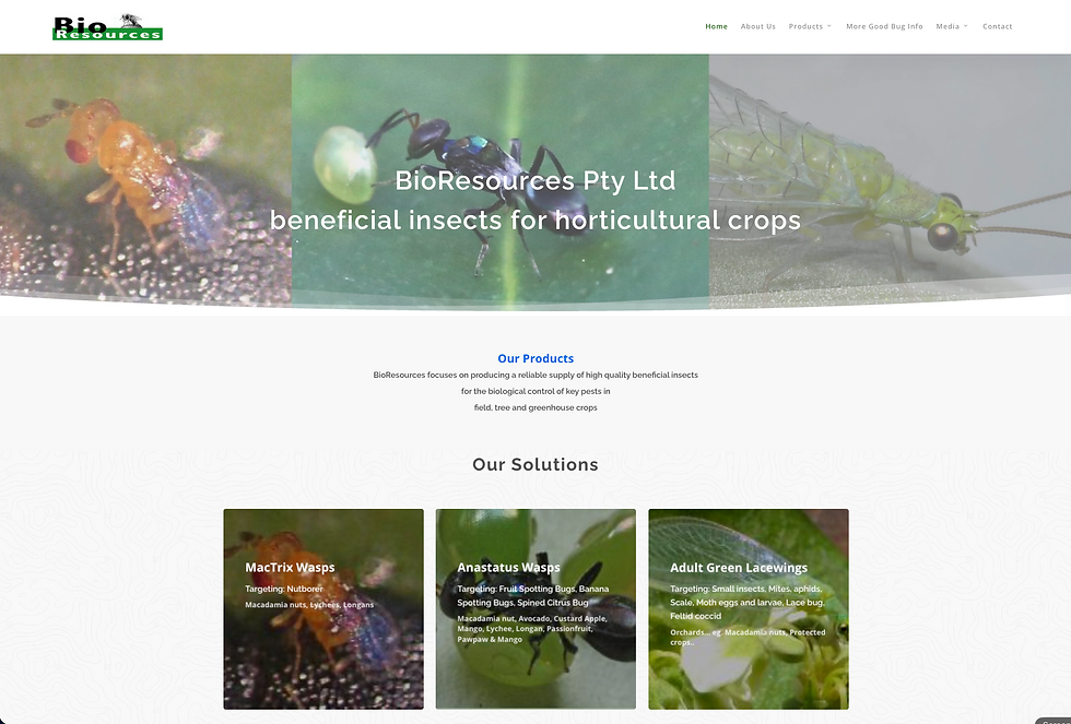 BioResources webpage showing beneficial insects, text on products and solutions for horticultural pest control. Green background images. beneficial insects pest control port macquarie eco safe