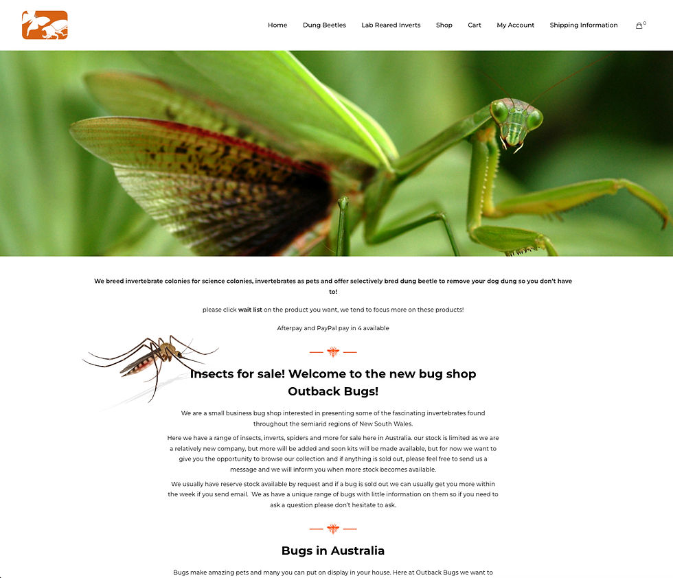 Screenshot of home page from Outback Bugs - https://www.outbackbugs.com.au/ beneficial insects pest control port macquarie eco safe