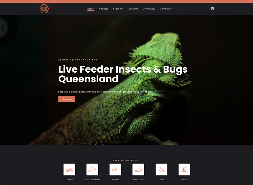 Green lizard on dark background; text reads "Live Feeder Insects & Bugs Queensland." Menu includes Home, Products, Contact. Vibrant, natural theme. beneficial insects pest control port macquarie eco safe