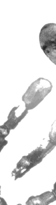 SENSES PROJECT 3_edited.jpg