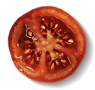 m6.png