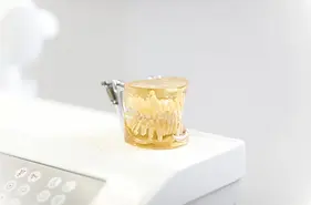 Modernes Zahnmodell der Zahnarztpraxis Beatrix Marticorena Garcia in Pankow