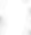 Flower border reduced density_edited.png