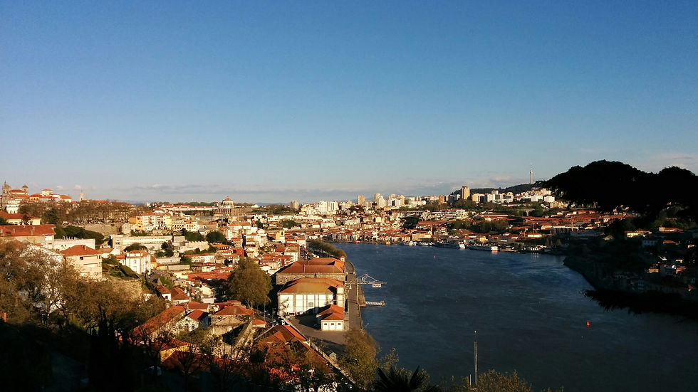Porto view