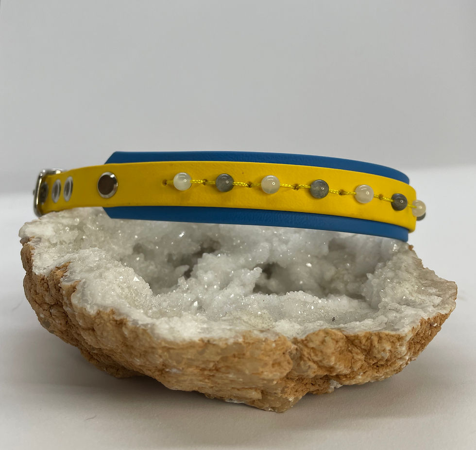 Collier Dahlia en Biothane jaune afin de prévenir autrui que l'animal qui le porte a besoin d'espace
