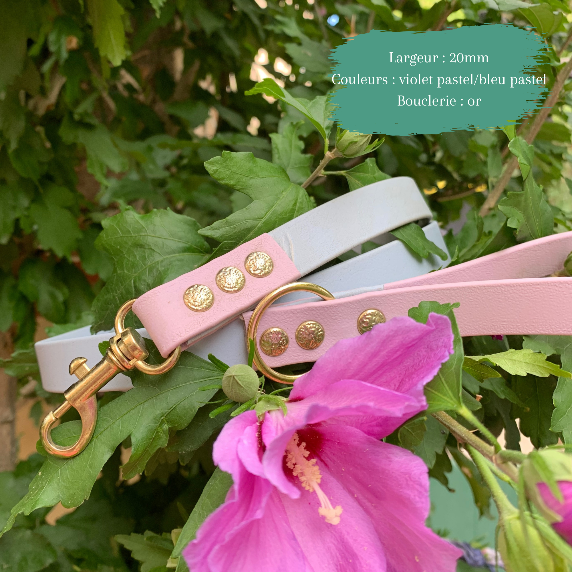 Laisse simple bicolor.