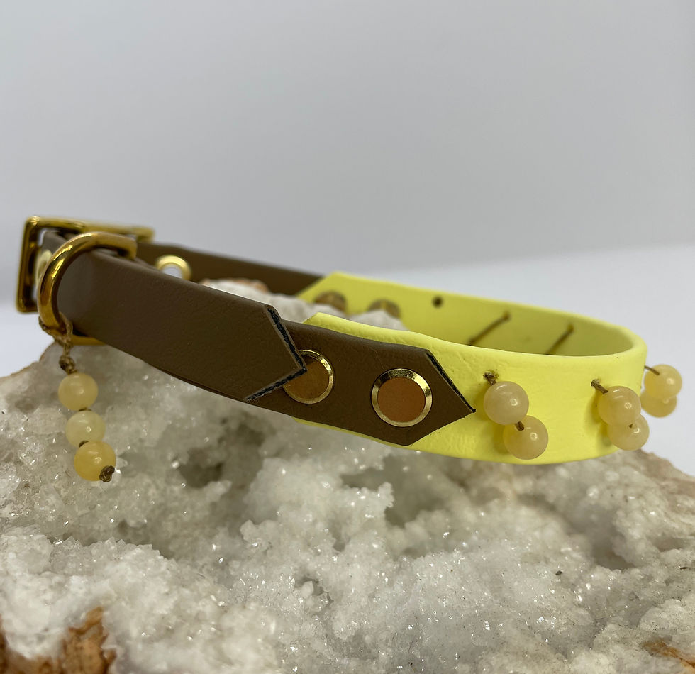 Collier Primrose en Biothane ornées de pierres semi précieuse de couleur Jaune pastel afin de prévenir autrui que l'animal qui le porte à besoin d'espace
