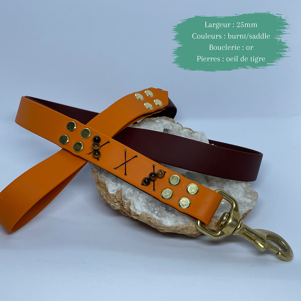 Laisse simple bicolor avec poignée et ornées de pierre semi-précieuse.