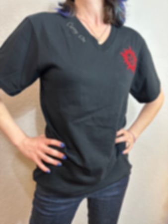 Carry On Embroidered V-Neck T-Shirt mens sizing you choose embroidery