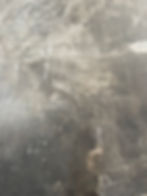 IMG_9804.jpeg