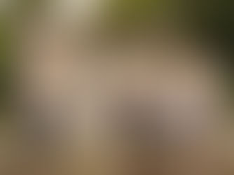 La firma del compromesso