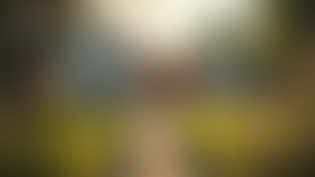 The Role of Halfway Houses in Community Reintegration