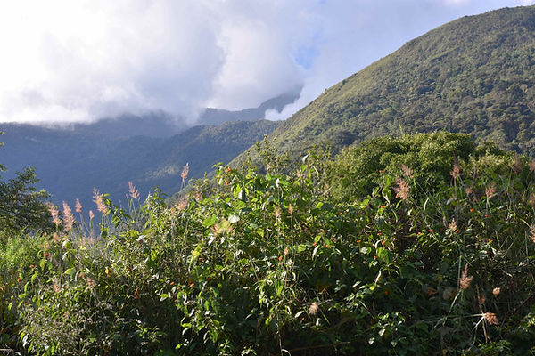 HUAYOPATA FINAL-45.jpg