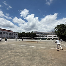 S__15450205.jpg
